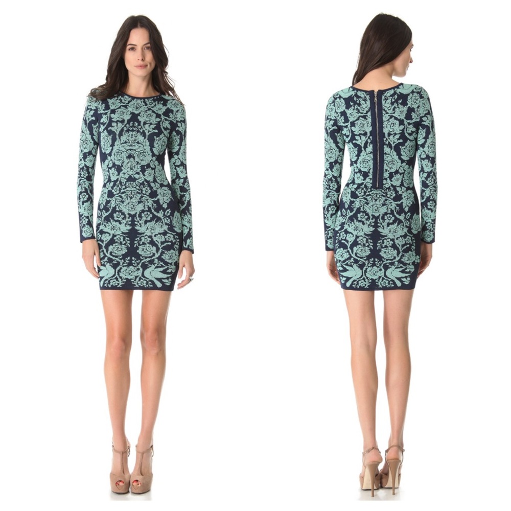 Torn by Ronny Kobo Long Sleeve Sweater Dress XS